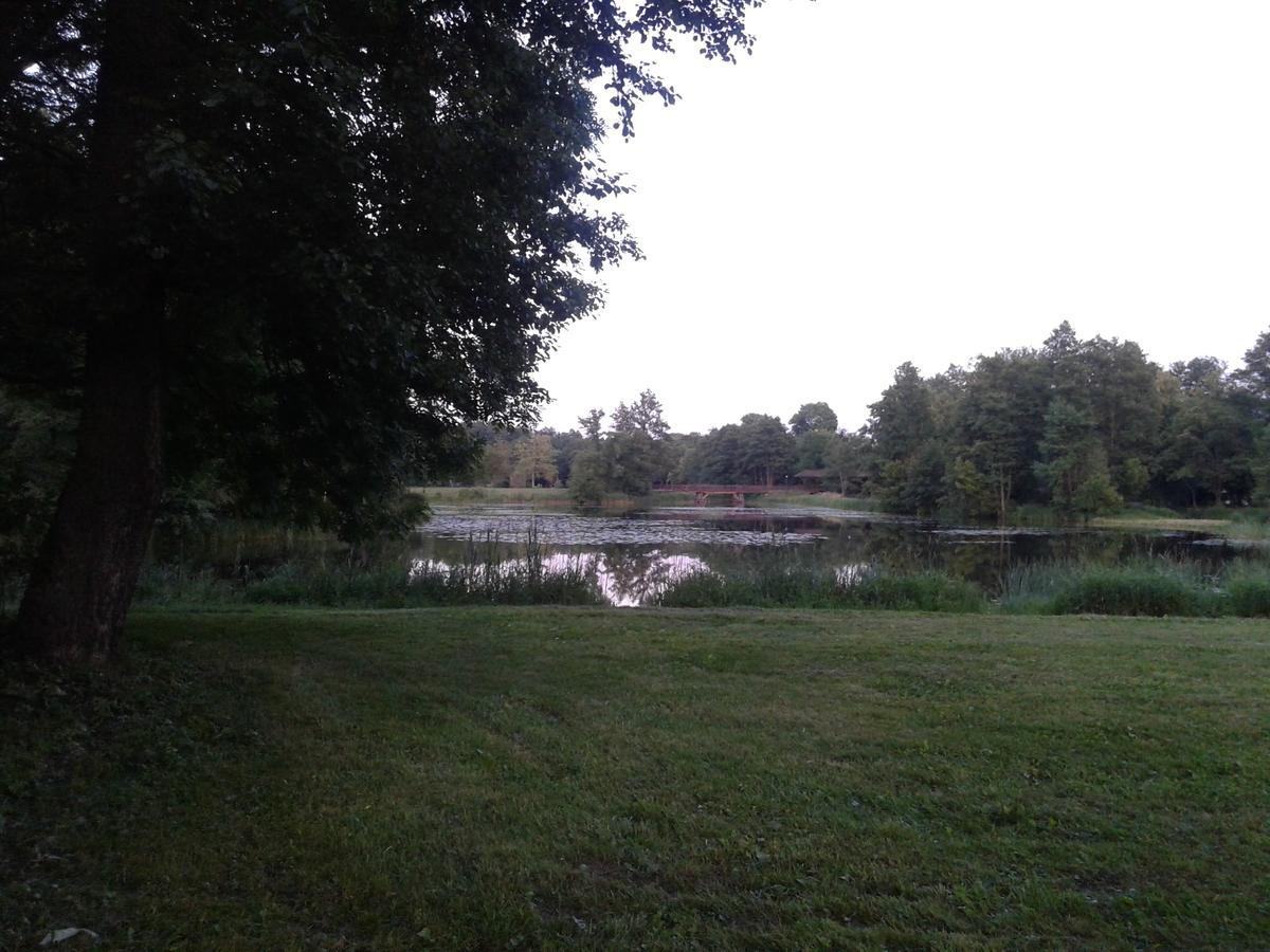 Cztery Pory Roku Casa de hóspedes Białowieża Exterior foto