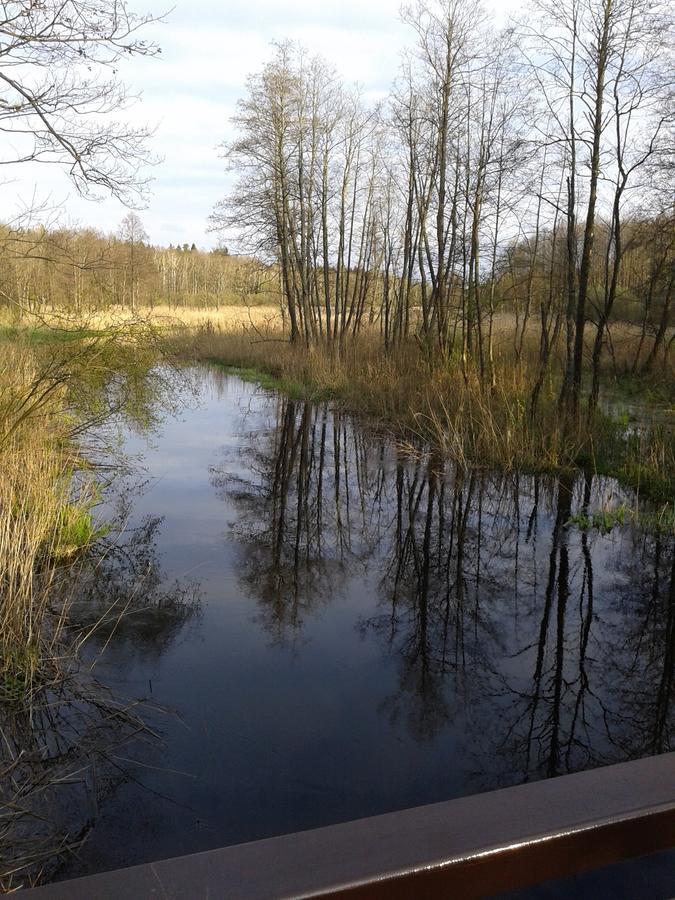 Cztery Pory Roku Casa de hóspedes Białowieża Exterior foto