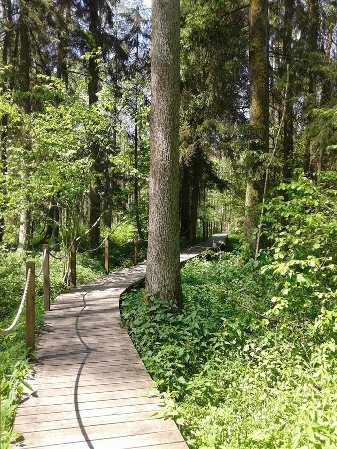 Cztery Pory Roku Casa de hóspedes Białowieża Exterior foto