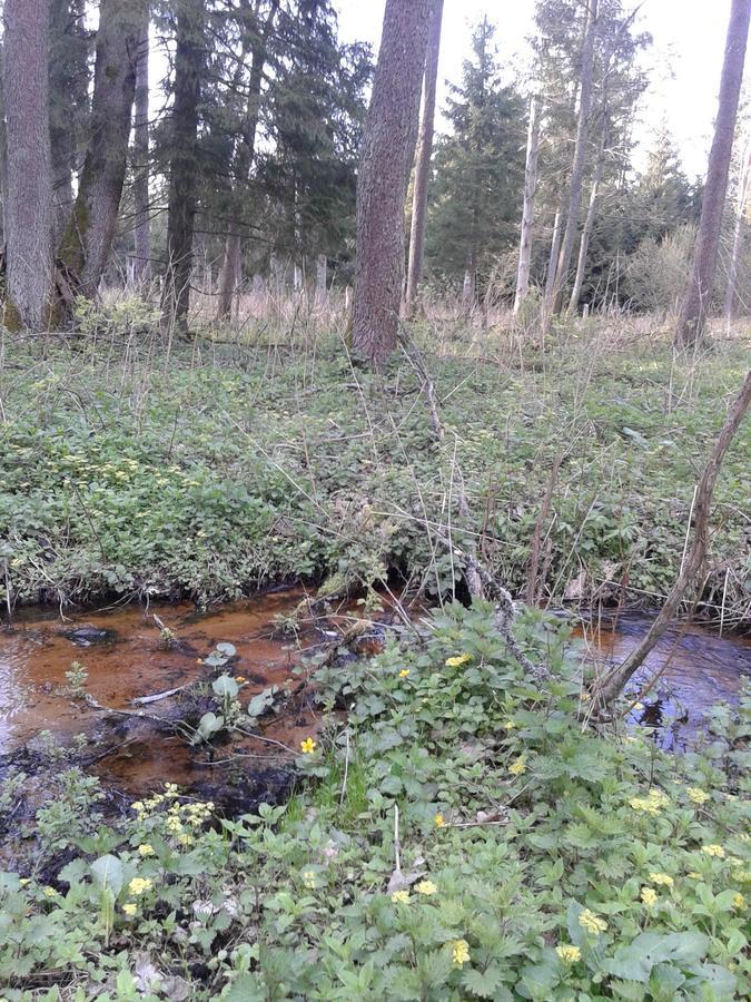 Cztery Pory Roku Casa de hóspedes Białowieża Exterior foto